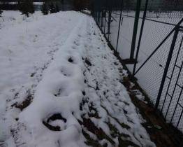 Místo tújí prázdné jámy. V Otrokovicích úřadoval neznámý pachatel