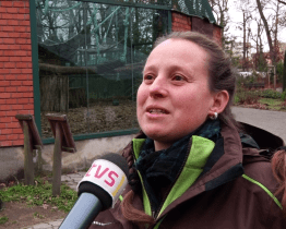 Chovatelka zoo soutěží o cestu za gorilami