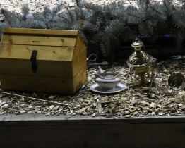 Novoroční odpoledne upozornilo na Tříkrálovou sbírku