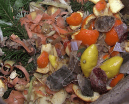 Do bioodpadu nepatří plasty ani další materiály 