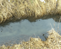 V Chrášťanech vznikne vodní nádrž