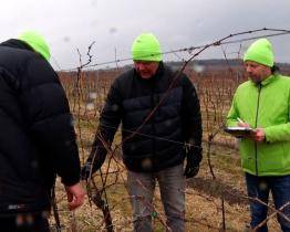 Soutěž v řezu vinné révy zná vítěze