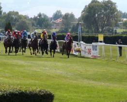 Sportovní projekty podpoří kraj více než 17 miliony 