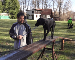 Kynologický klub slaví vysoké jubileum