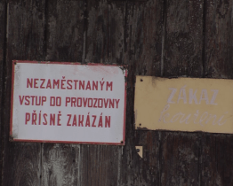 Zbouranou drůbežárnu nahradí výstavba bytových domů nebo zeleň