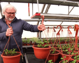 Technické služby se připravují na jarní výsadbu