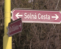 Oprava chodníku na ulici Solná cesta v Sadech