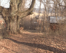 Milan Wichterle daroval Slavičínu zámecký park v Divnicích