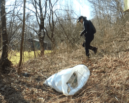 Zaměstnanci krajského úřadu pomáhali uklidit svět