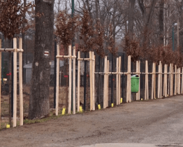 Areál zoo lemují nové stromy