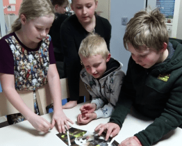 Noc s Andersenem patřila psům a kočkám