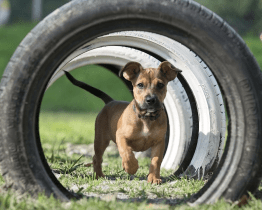 Město zrealizuje všechny projekty participativního rozpočtu společně