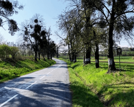 Kraj chce přidat na seznam další kulturní památky