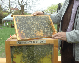 Den Země nabídl program s řadou atrakcí 