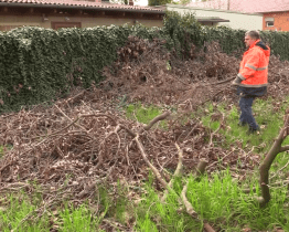 Rekonstrukce stacionáře začala úklidem zahrady