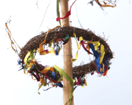 Dražba májky pomohla chlapci k rehabilitaci