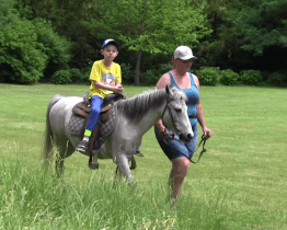 Děti mohly svůj svátek oslavit v pohádkovém lese