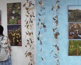 Muzejní noc patřila bylinám