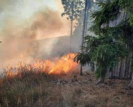 Hasiči od večera bojují s rozsáhlým požárem u Lukovečku. Na místě se vystřídalo už 38 hasičských jednotek