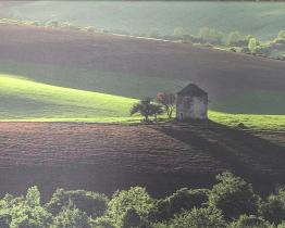 Radniční galerie ukazuje krajinu jižní Moravy