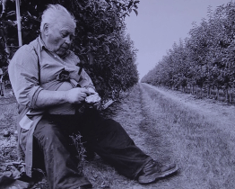 Nejen oceněné fotografie najdete na výstavě Brody v Brodě 