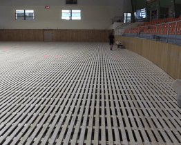 Po nové palubovce přijde na řadu rekonstrukce haly