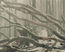 Výstava mapuje třicetiletou tvorbu Jana Botka