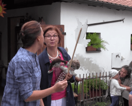 Starý kvartýr oživila pohádka pro nejmenší