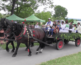 Do strážnických vinohradů už nikdo nesmí
