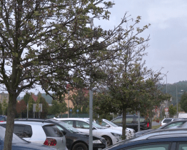 Na novou zeleň se mohou těšit obyvatelé Mařatic a Sadů