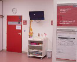 Dětská gynekologie má v Baťově nemocnici padesátiletou tradici. Vyhledávají ji pacientky z celého kraje