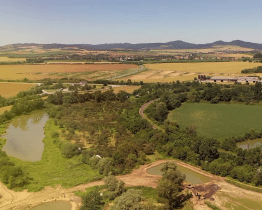 Obnova ekosystému slepých ramen Moravy