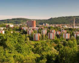 Zlín bude zase o něco zelenější. V rámci podzimní výsadby se zasadí 173 nových stromů