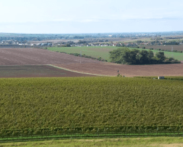 Směna pozemků umožní vytvoření cesty na Radošov