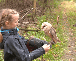 Den za obnovu lesa přinesl osvětové programy
