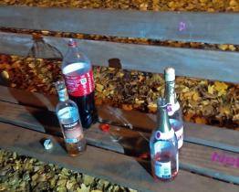 Zlínští strážníci řešili podnapilé děti. Některé skončily kvůli intoxikaci v nemocnici