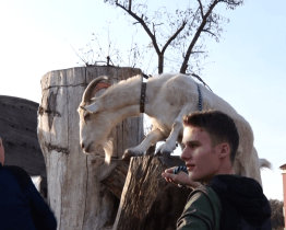 Odpoledne statkářství a řemesel přineslo jízdu na koni i opékání hadů