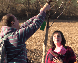 Alej života se rozrostla směrem na Boršov