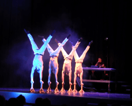 Soubor Losers Cirque Company zvedl diváky ze židlí