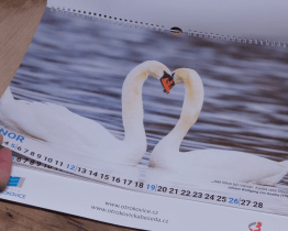 Otrokovický kalendář na rok 2023 je věnovaný přírodě ve městě 