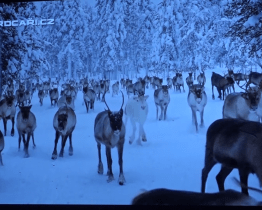 Snow Film Fest doplnil přednáškou Miroslav Náplava