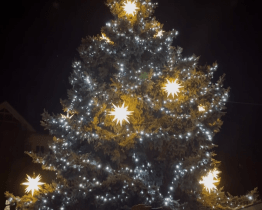 Rozsvícení vánočního stromu si nenechaly ujít stovky lidí