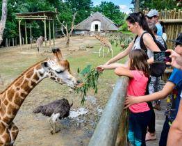 Zlínská zoo slaví nejúspěšnější sezónu v historii. Obyvatele Zlínského kraje proto odmění symbolickým vstupným