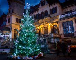 Vánoce vypuknou ve zlínské zoo tuto neděli. Zvířata můžete obdarovat ovocem, zeleninou nebo sušeným pečivem!