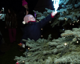 Advent v Lužicích odstartoval rozsvícením stromu i jarmarkem