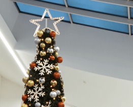 Dárky pod Strom splněných přání můžete přinést do 18. prosince