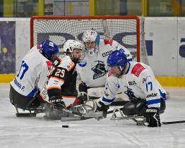 Demolice Havířova na závěr. Zlín se v semifinále para hokejové ligy utká s Olomoucí