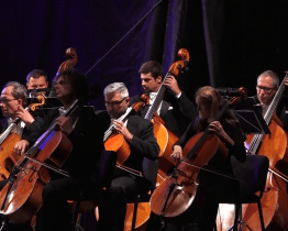 Do kultury poputuje více než 11 milionů korun