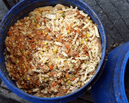 Odpad z jídelny pomohou zlikvidovat i žížaly