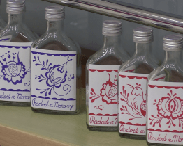 V Radniční galerii teď převažují folklorní motivy